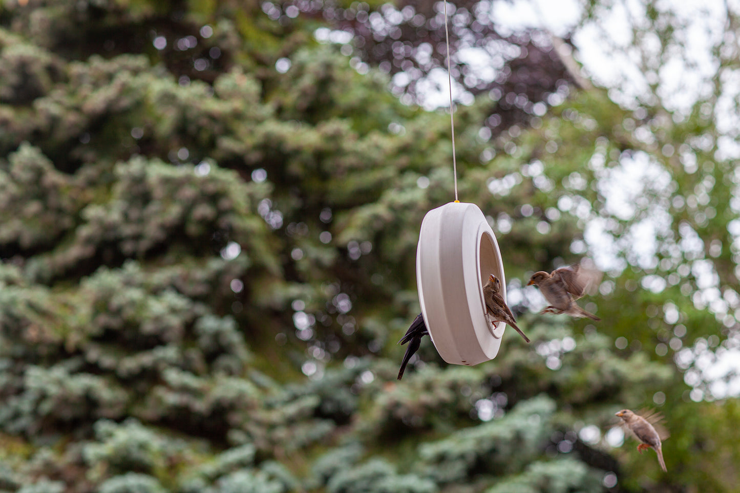 Bulbul Modern Bird Feeder Ceramic