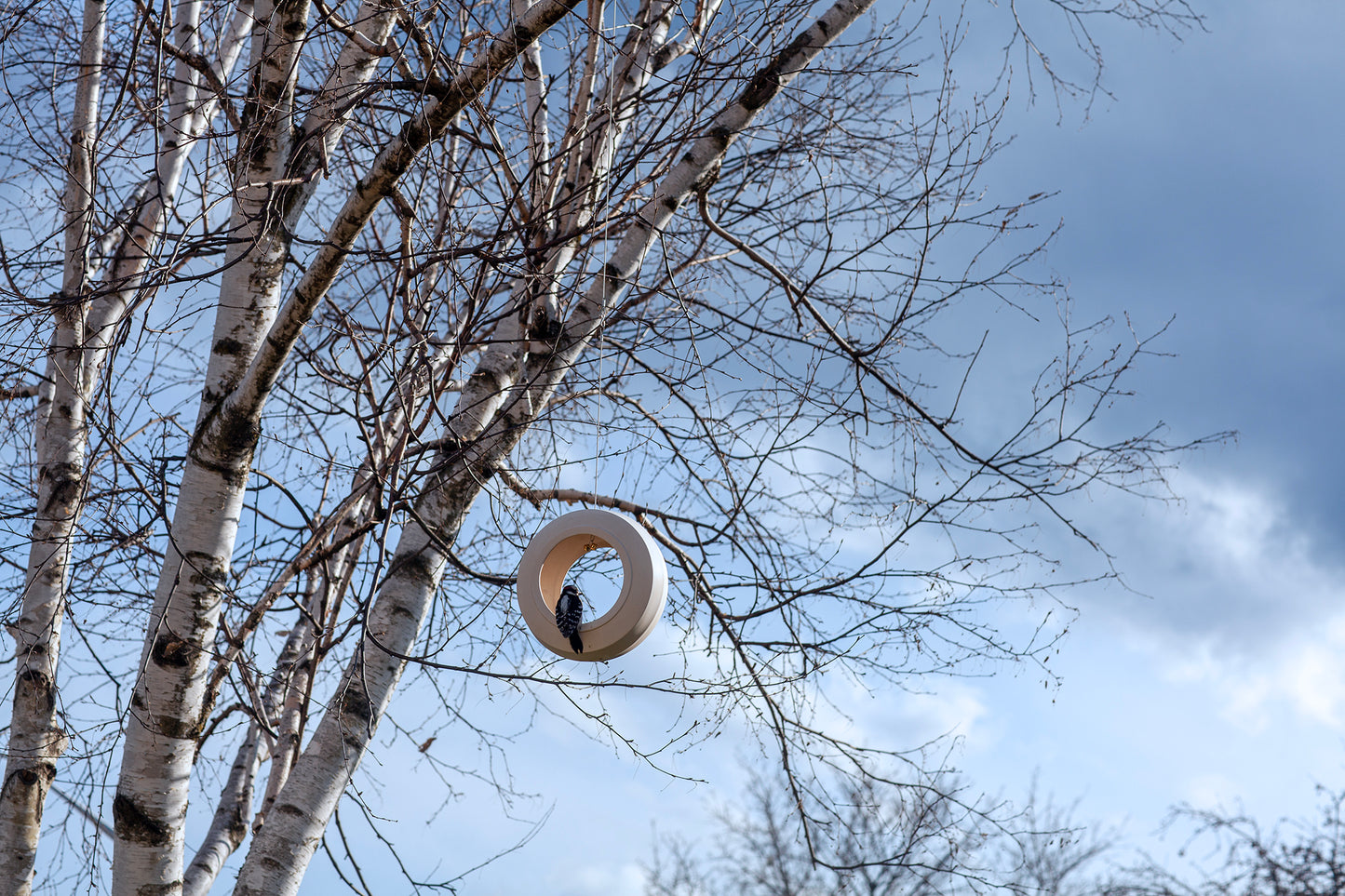 Bulbul Modern Bird Feeder
