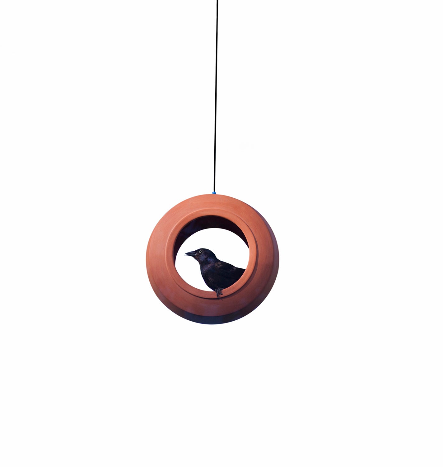 Bulbul Modern Bird Feeder Terracotta