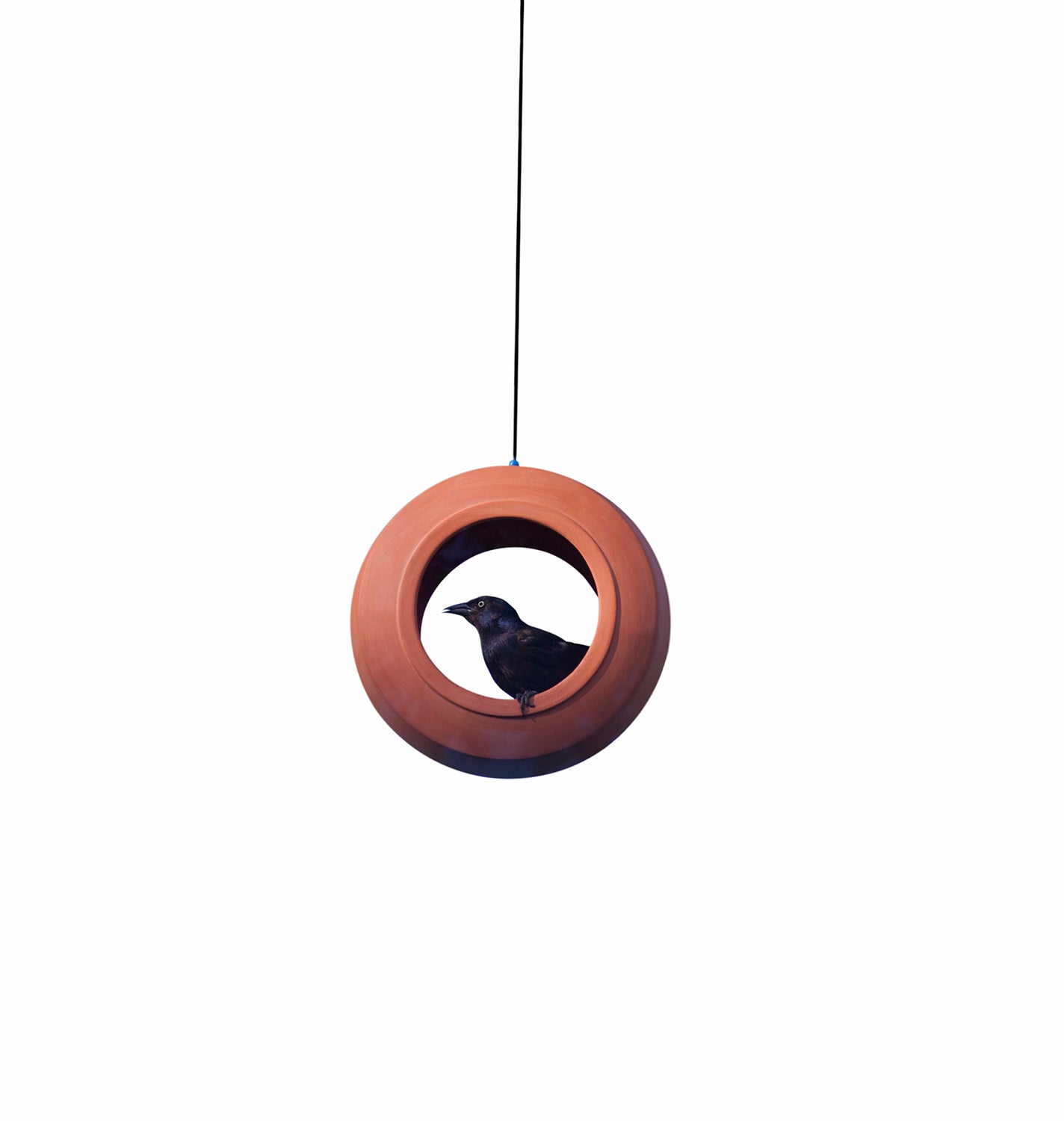 Bulbul Modern Bird Feeder